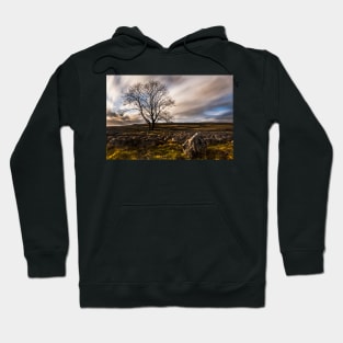 Lone Tree On Lime Hoodie